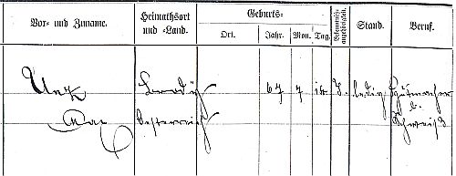 fremdenbuch offenburg 1893